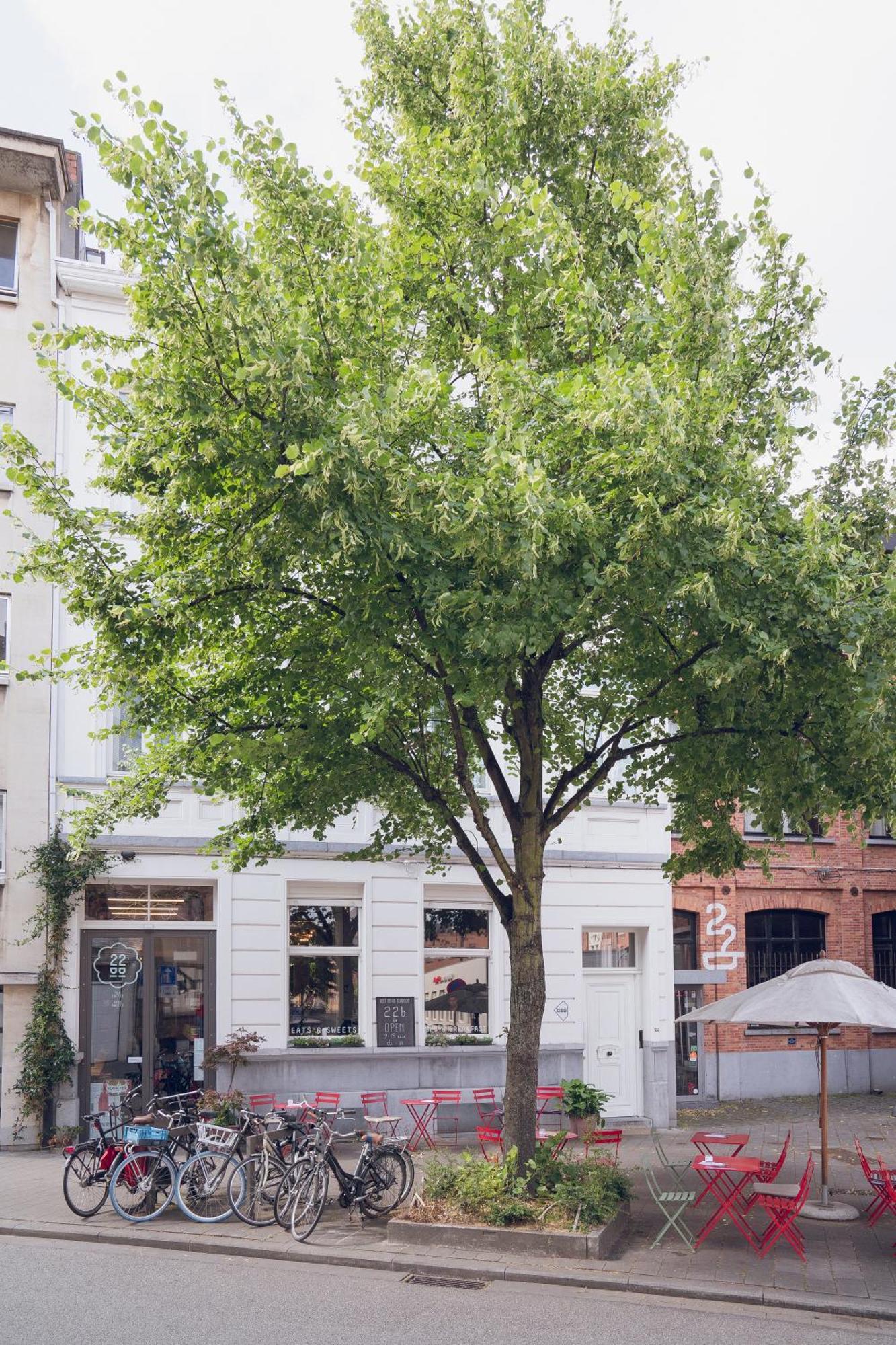 22B&B Amberes Exterior foto